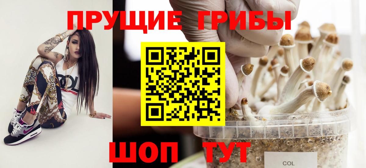 Зеленокумск  Галлюциногенные грибы Psilocybine cubensis  Вход с VPN  Псилоцибиновые грибы Psilocybe 